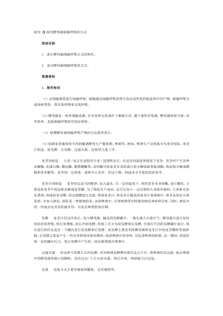 探究3酵母菌