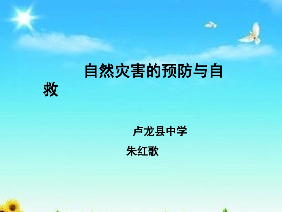 1.制定自然灾害应急预案及演练_第1页