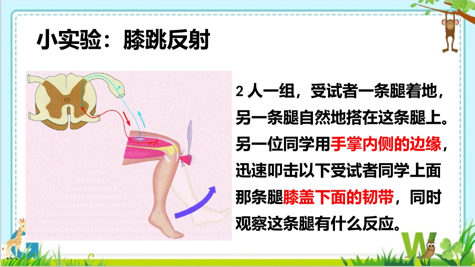 第三节神经调节的基本方式_第2页