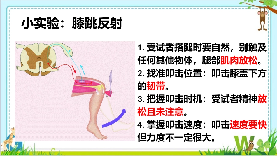 第三节神经调节的基本方式_第3页