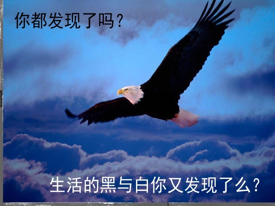 9.变照片为黑白的画_第1页