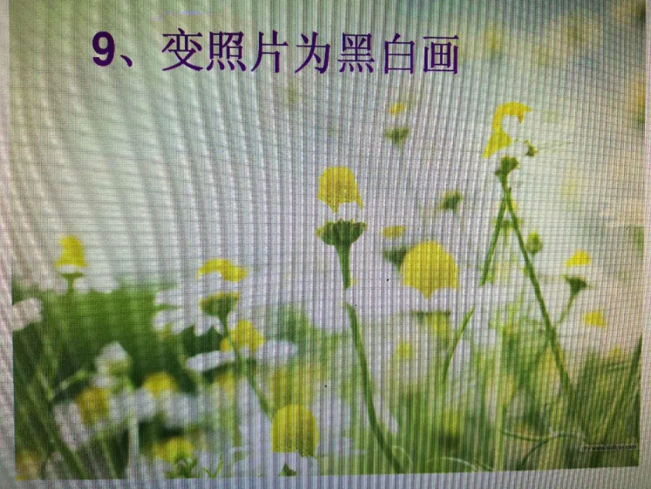 9.变照片为黑白的画_第2页