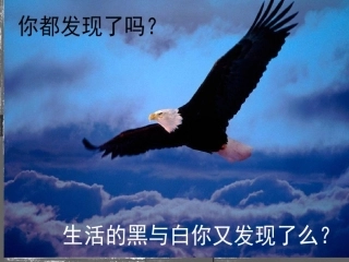 9.变照片为黑白的画