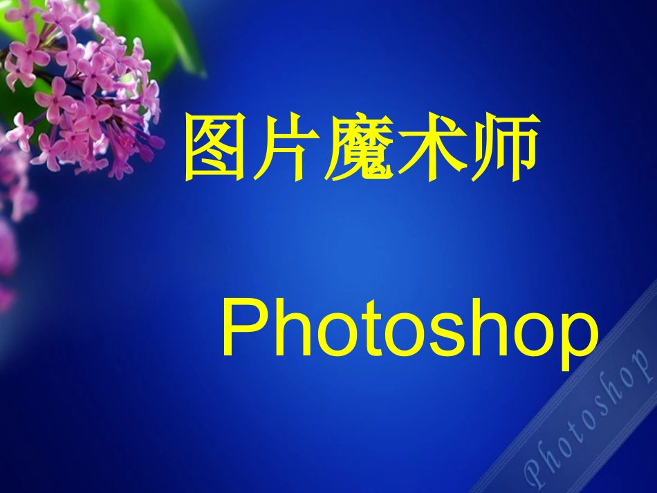 13.图片魔术师_第1页