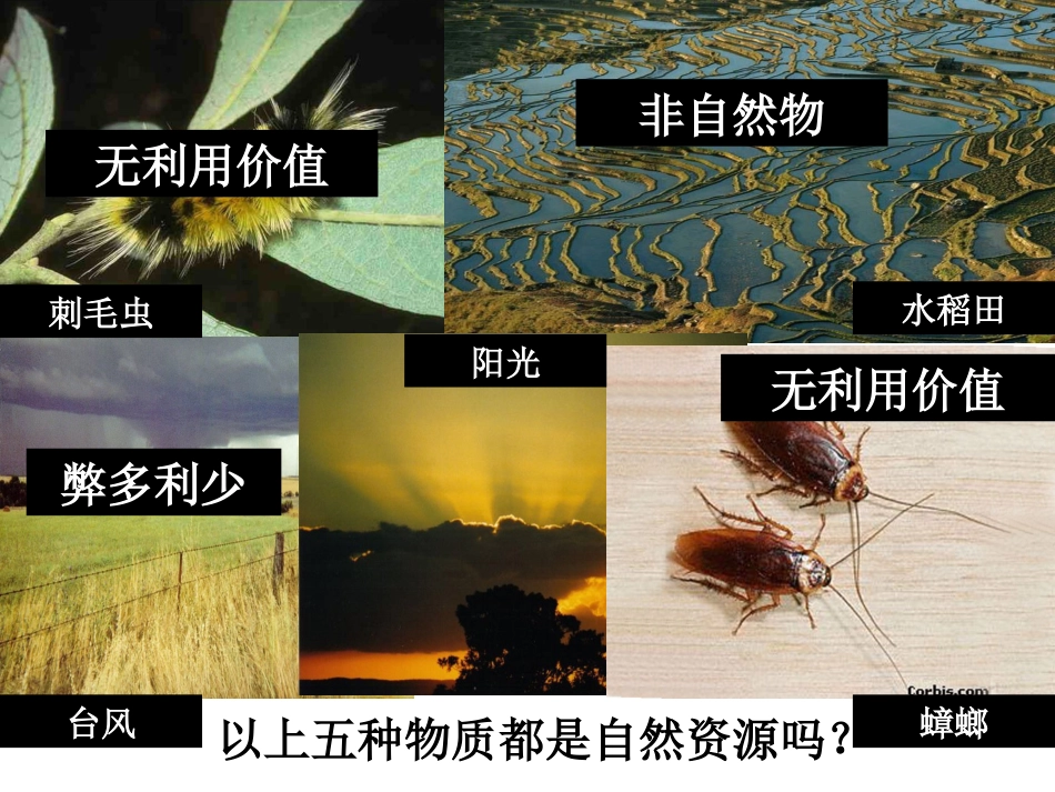 第一节自然资源与主要的资源问题-(3)_第2页