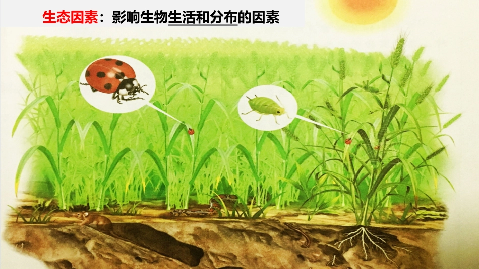 科学家访谈-生物与环境是统一的整体-(6)_第2页