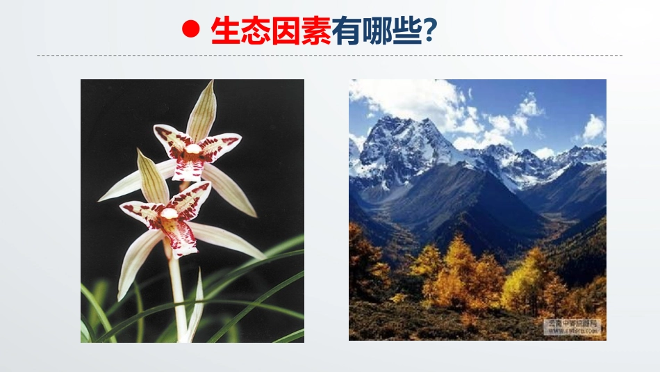 科学家访谈-生物与环境是统一的整体-(6)_第3页