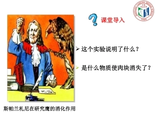 酶与酶促反应-(3)