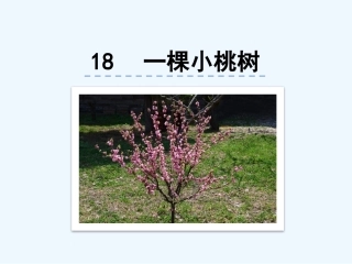(部编)初中语文人教2011课标版七年级下册一棵小桃树课件-(5)