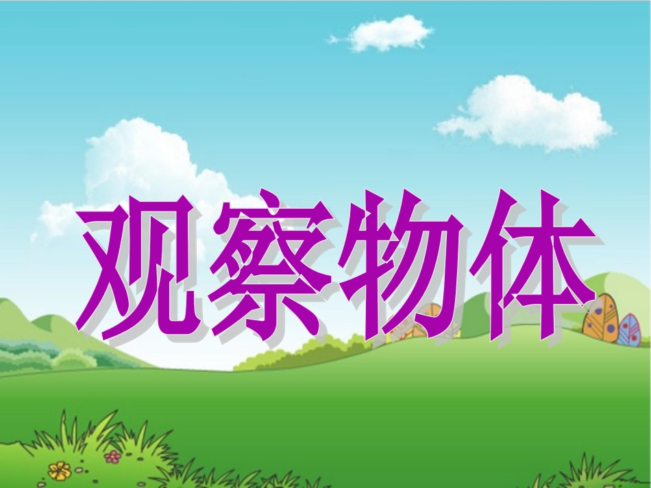 《观察物体》课件2_第1页