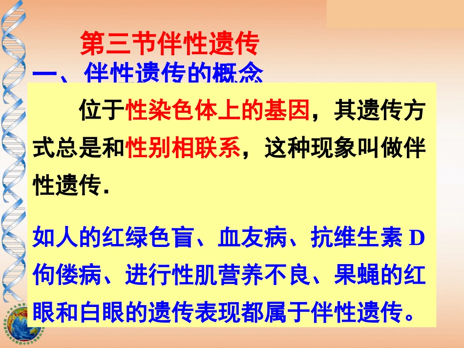 2.3伴性遗传课件(新人教版必修2)_第2页
