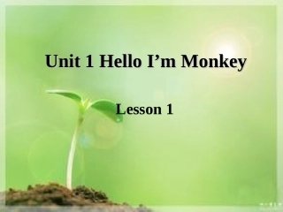 Unit-1--Lesson-1-课件2