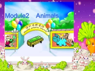 animals课件