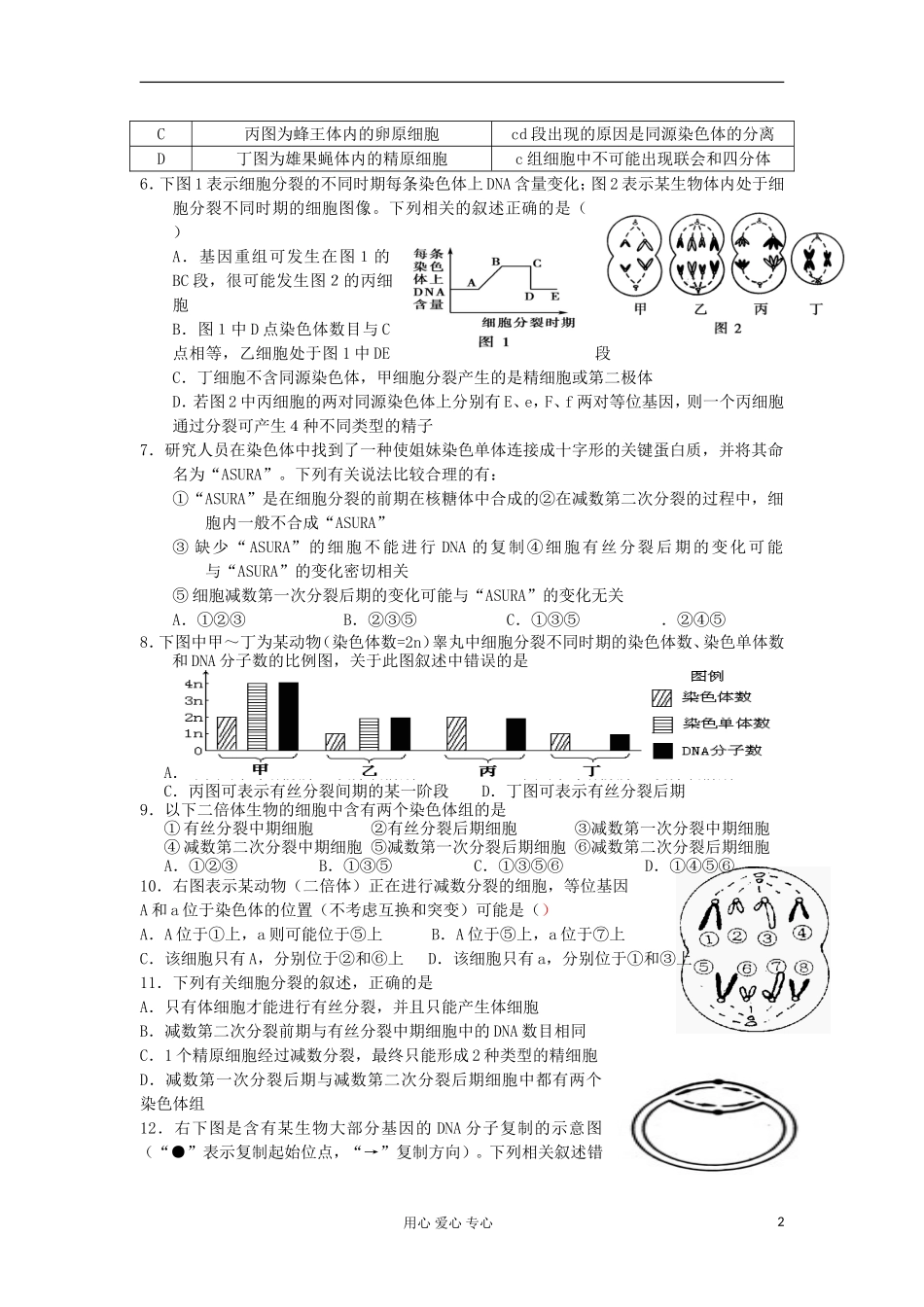 2012高三生物专题汇编-细胞的生命历程_第2页