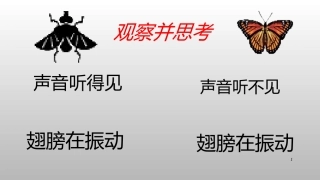 四、人耳听不到的声音