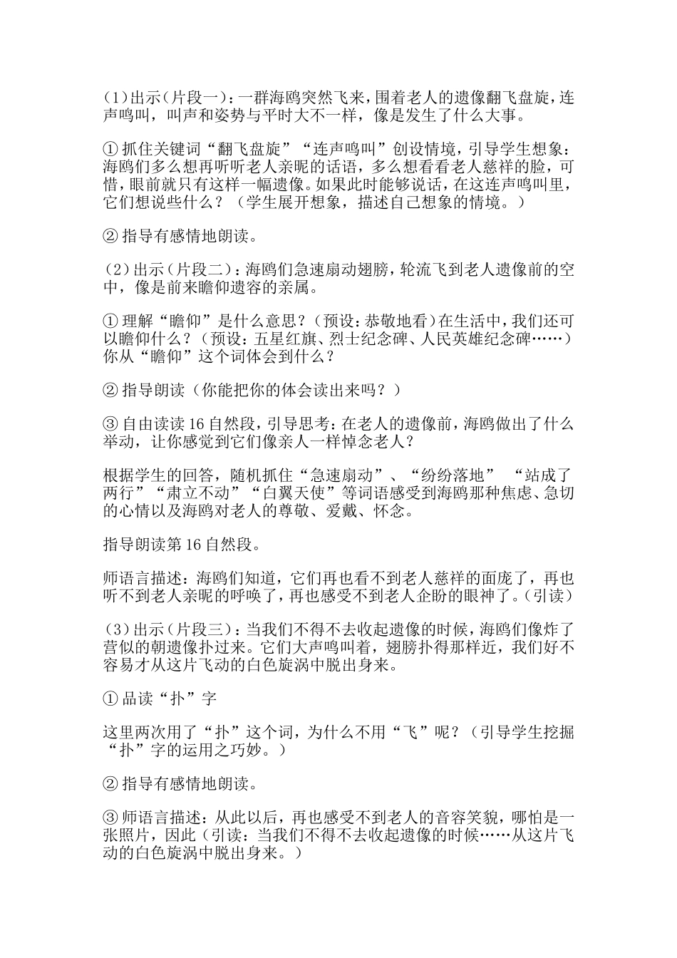 老人与海鸥第二课时_第2页