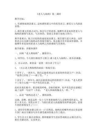 老人与海鸥第二课时