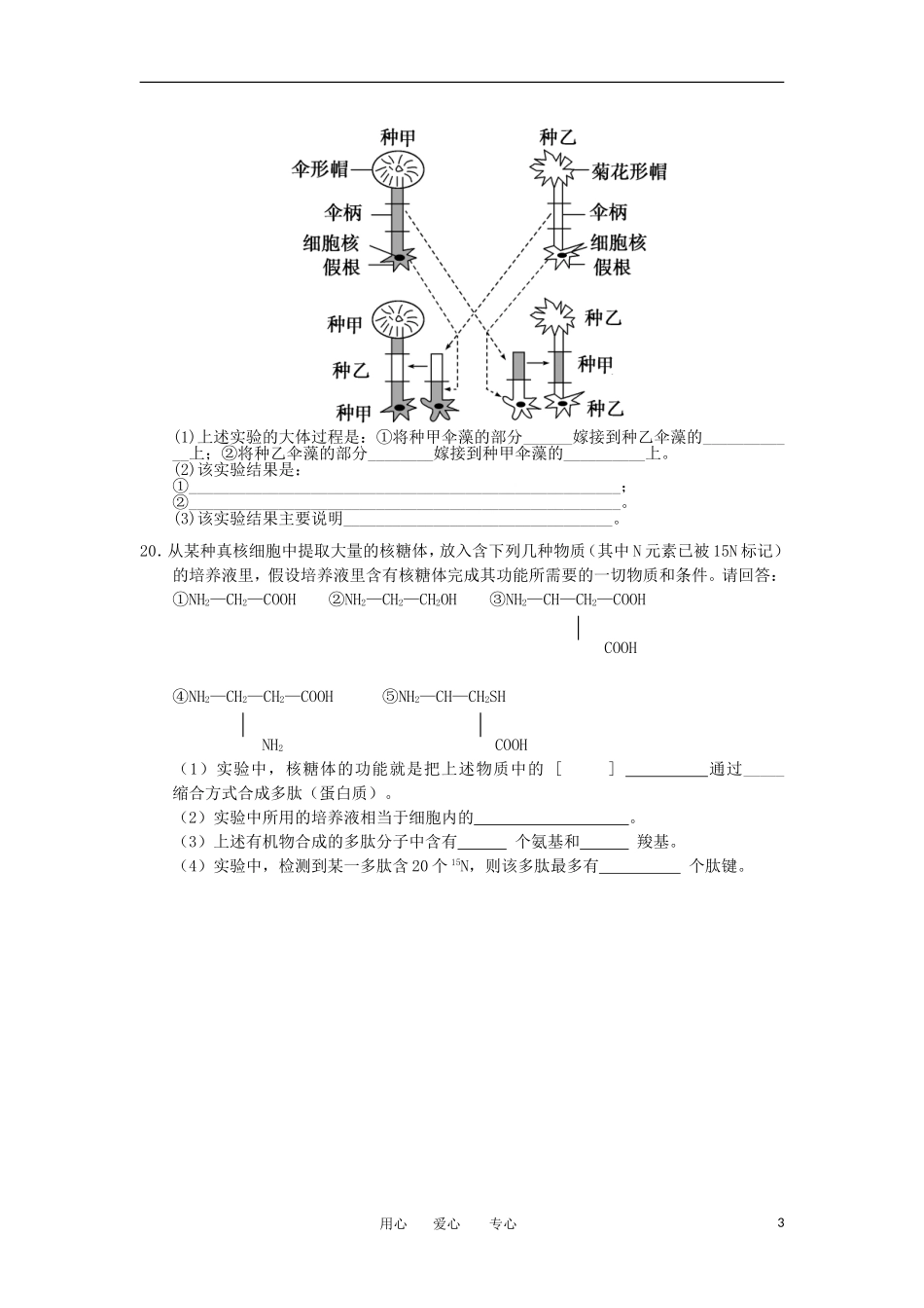 2012高一生物-3.2细胞的类型和结构44每课一练-苏教版必修1_第3页