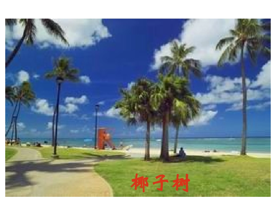 有理数乘法的运算律_第2页