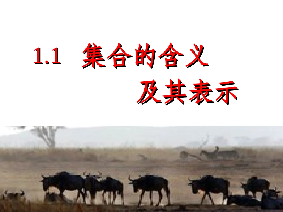 1.1集合及其表示_第1页