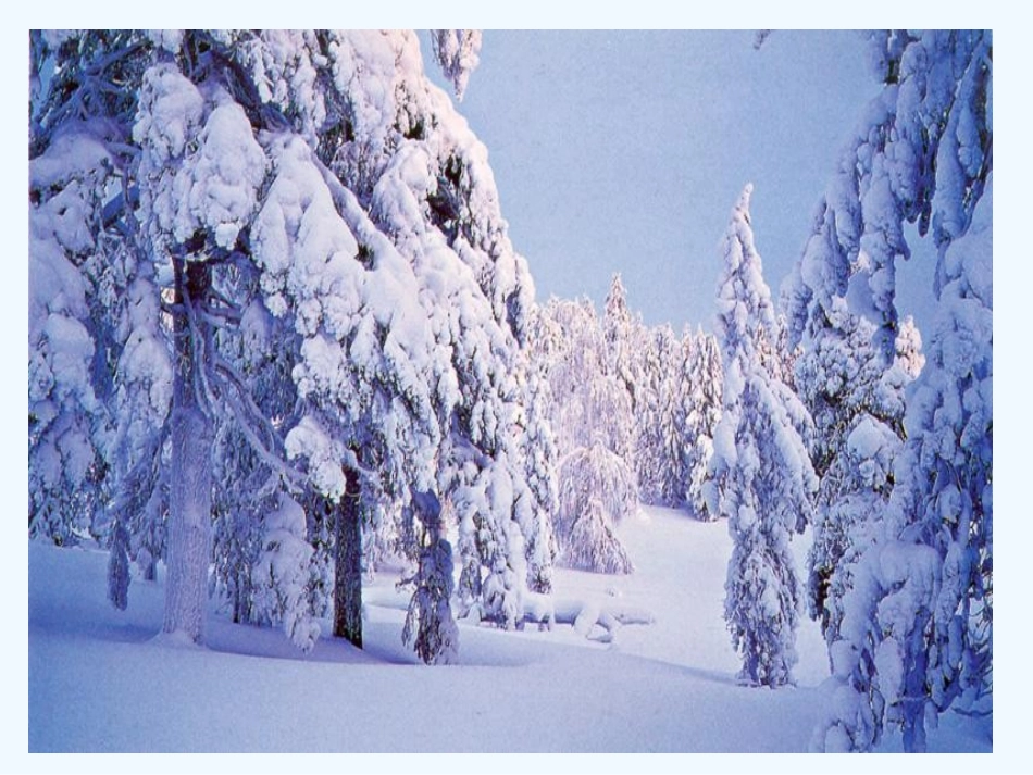 (部编)人教2011课标版一年级上册《12.雪地里的小画家？_第2页