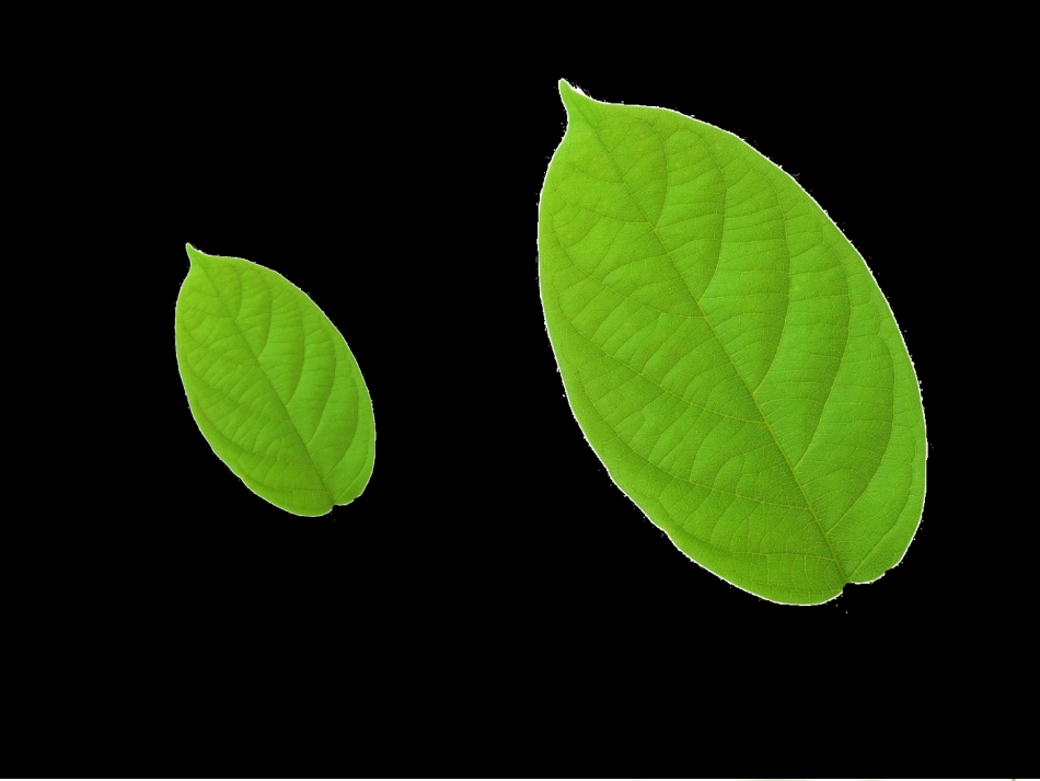 人教2011版小学数学三年级认识面积-(4)_第2页