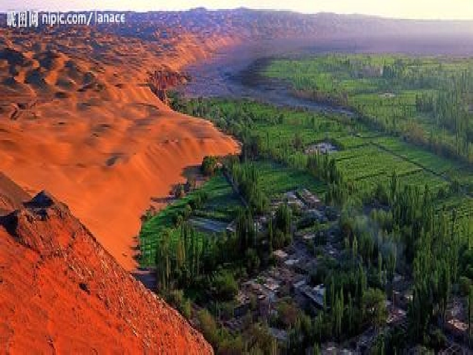 18沙漠中的绿洲_第3页