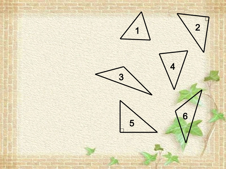 三角形的分类(2)_第2页