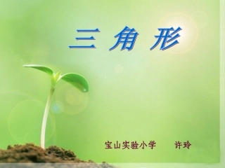 三角形的分类(2)