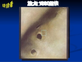 构成物质的微粒(吕彩玲)10.12