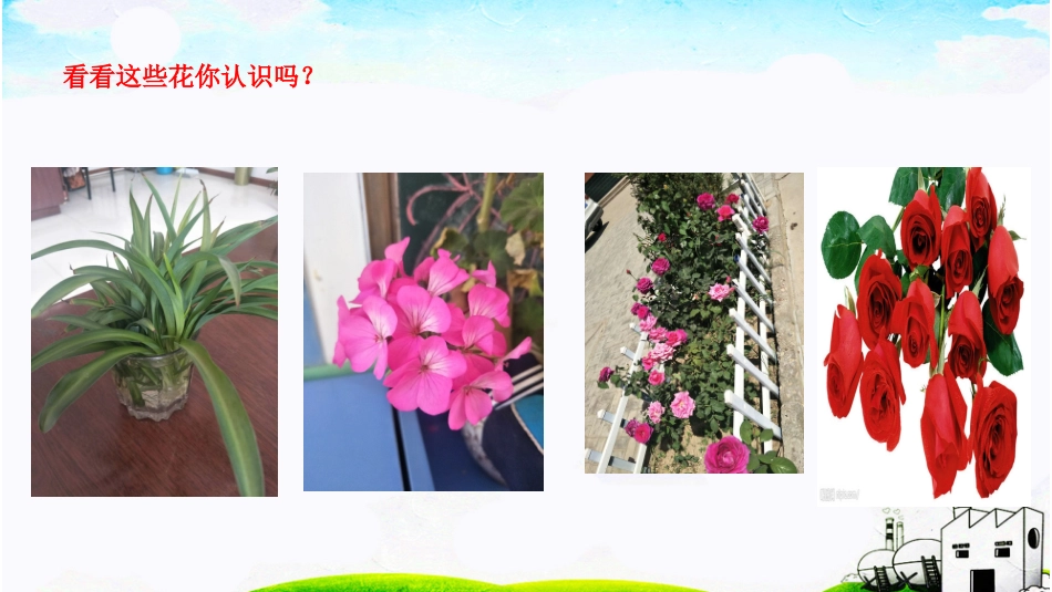 12.我喜爱的植物栽培技术_第3页