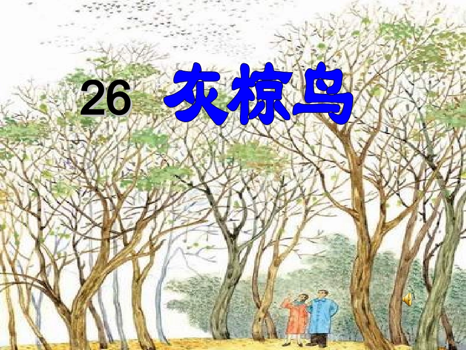 168灰椋鸟_第1页