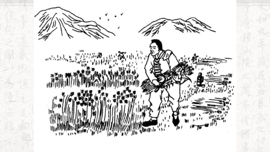 第7课双人旁_第2页