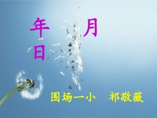 人教2011版小学数学三年级年-月-日-(4)