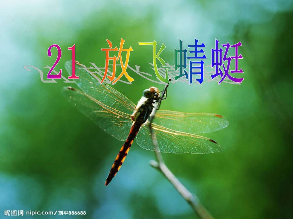 放飞蜻蜓(第一课时)2_第1页