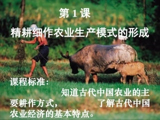 第1课-精耕细作农业生产模式的形成