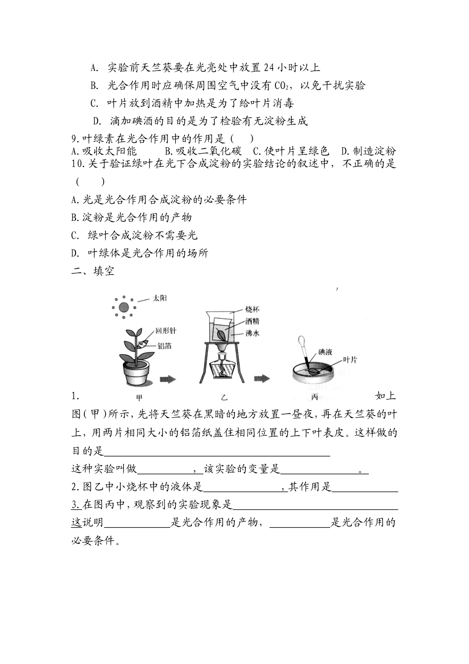 光合作用练习题_第2页