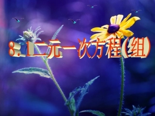 二元一次方程组