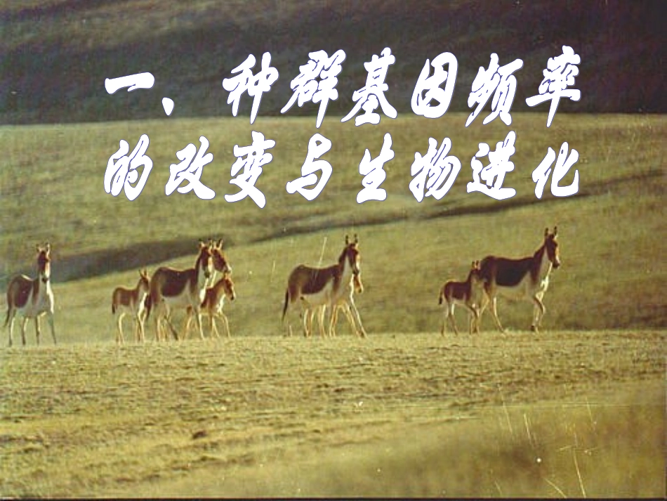 7.2-现代生物进化理论的主要内容_第2页