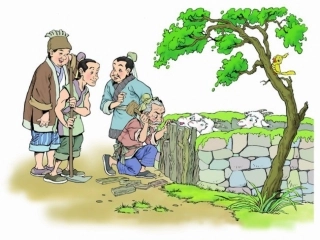 亡羊补牢闫小丽