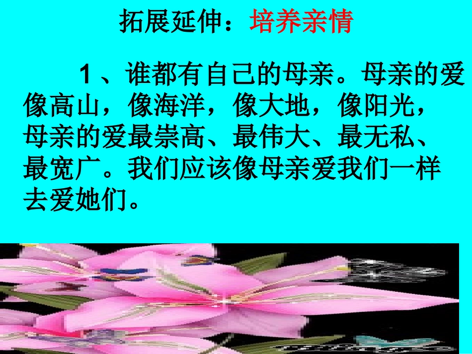 6回忆我的母亲-(5)_第3页