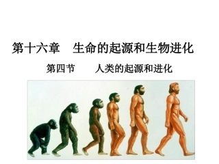 第四节人类的起源和进化