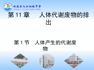 第1节人体产生的代谢废物