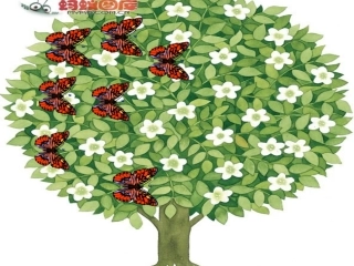 小学数学人教2011课标版一年级8和9的认识课件