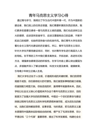 青年马克思主义学习心得