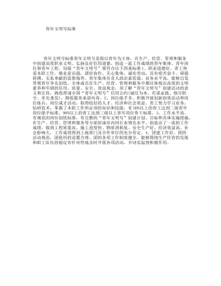 青年文明号标准