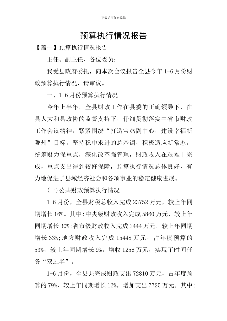 预算执行情况报告_第1页