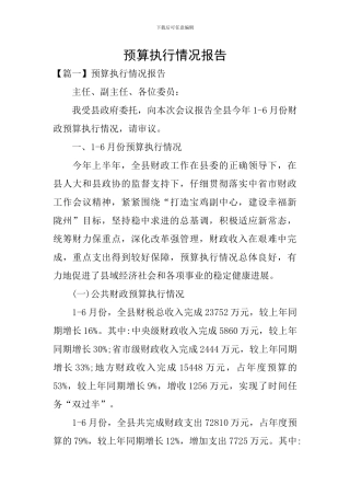 预算执行情况报告