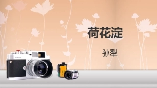 7荷花淀——白洋淀纪事之二