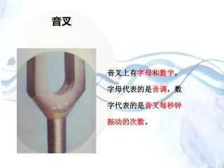 音叉的实验探究